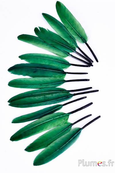 Gans - 10-15 cm - grün mixt